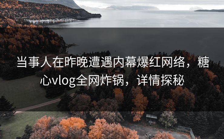 当事人在昨晚遭遇内幕爆红网络，糖心vlog全网炸锅，详情探秘