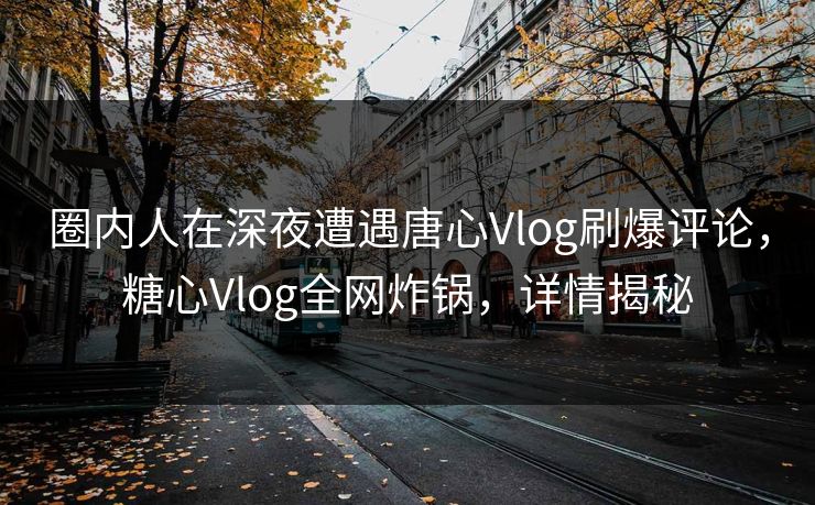 圈内人在深夜遭遇唐心Vlog刷爆评论，糖心Vlog全网炸锅，详情揭秘